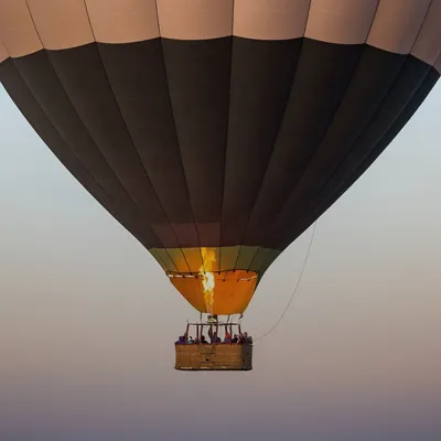 Fliegen - Gift Image