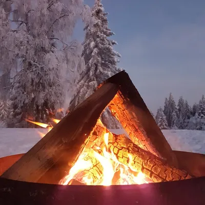 Bright campfire burning with flames against a snowy forest backdrop of frost-laden evergreen trees