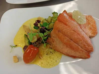 Pan-fried salmon fillet on saffron sauce with vegetables and fresh cress on a white plate