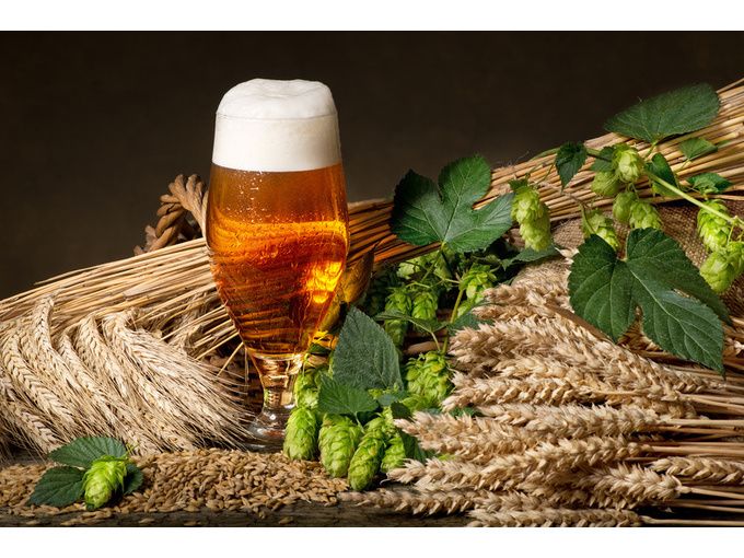 Bierbraukurs - Image 1