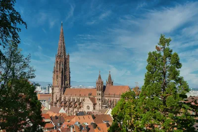 View of the cathedral of Freiburg