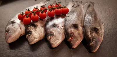 Kochkurs rund um Fisch - Gift Image