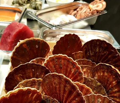 Fresh scallops arranged for a seafood dish