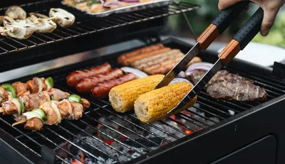 Vegetables and meat on a grill