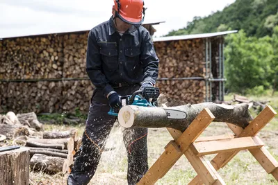 Man sawing a tree trunk with a chainsaw