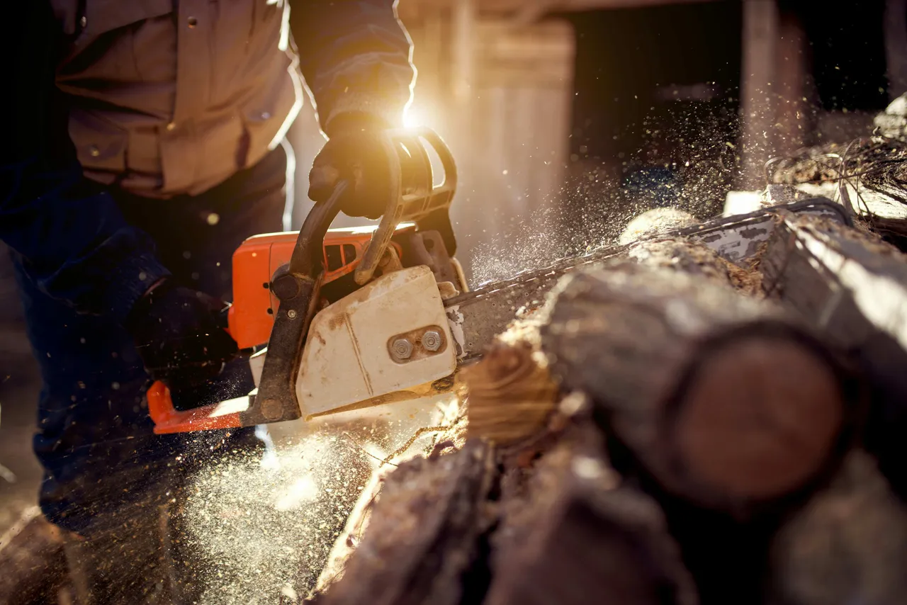 A person sawing a tree trunk with a chainsaw