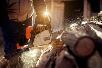A person sawing a tree trunk with a chainsaw