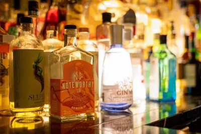 A variety of gin bottles at a bar