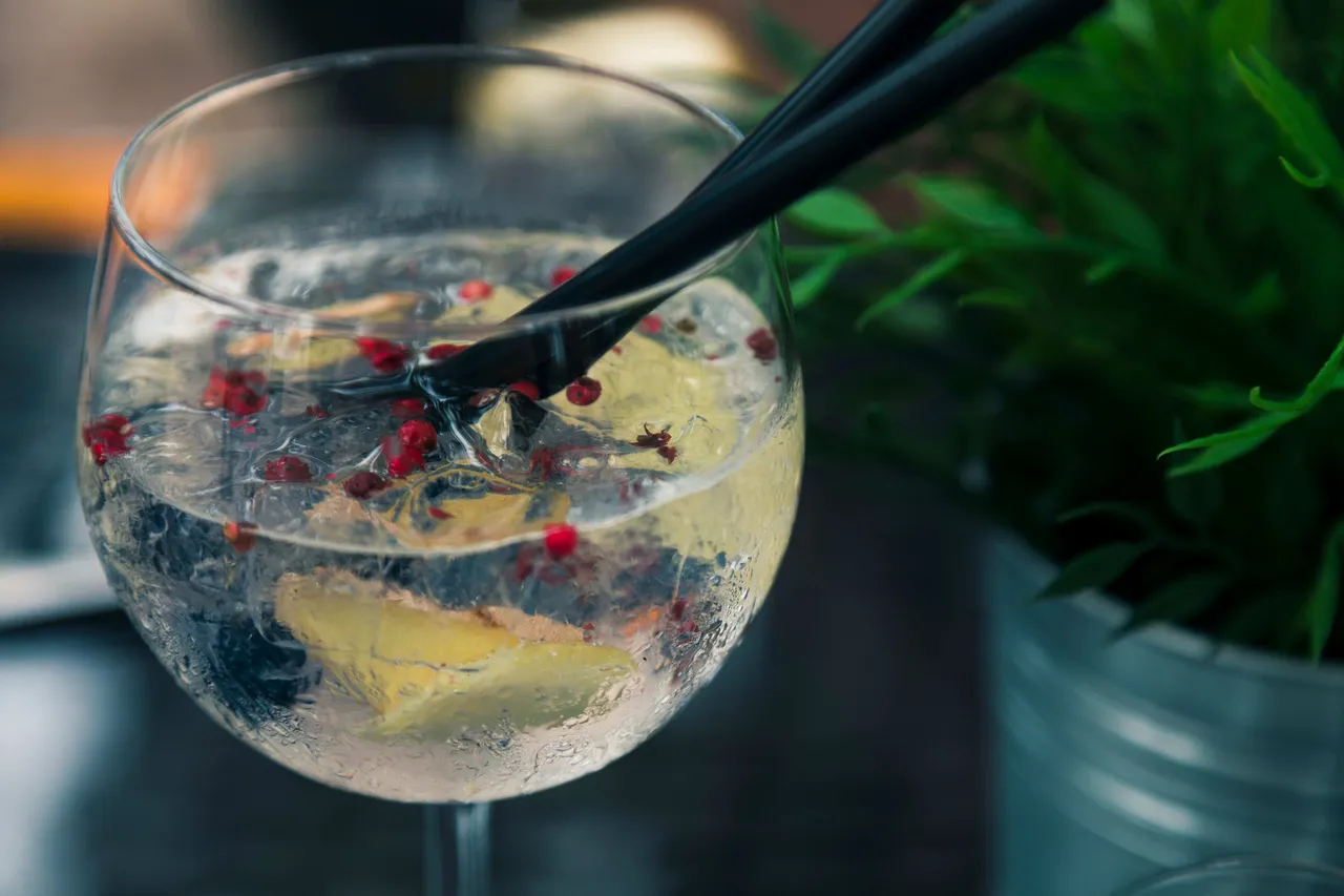 A glas of gin tonic garnished with berries