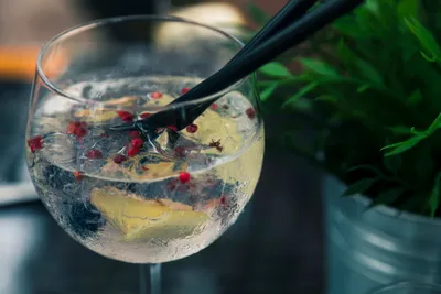 A glas of gin tonic garnished with berries