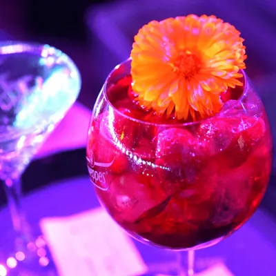 A colourful cocktail with gin