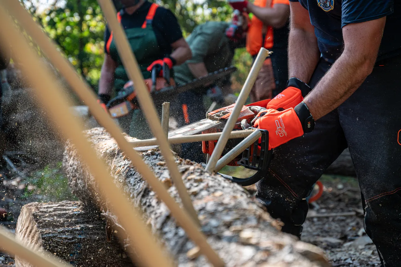 Group of chainsaw course participants gathered around a log fitted with wooden dowels while one person makes a cut