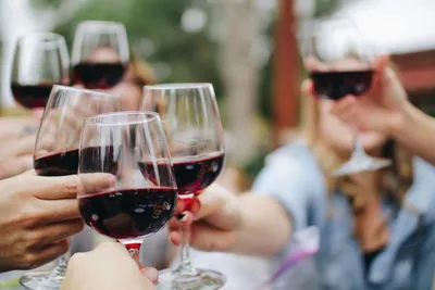 A group of people clinking their wine glasses together, at an outdoor tasting event