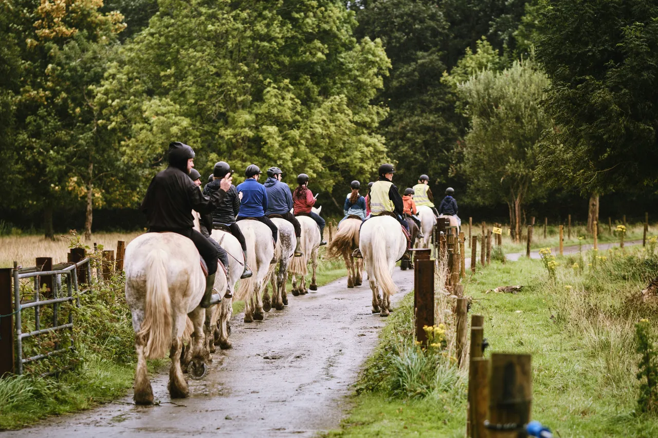 A herd of brown and black horses galloping together across a wide, open grassy field.