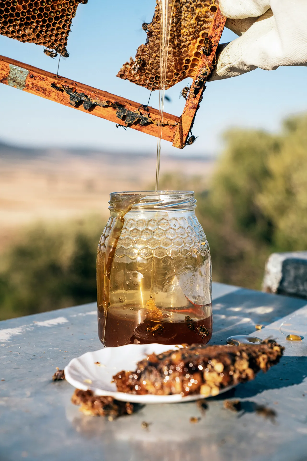 Honey dripping from the comb in a jar