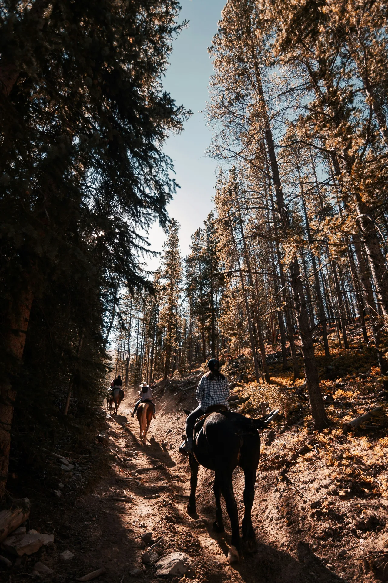 A group of people horseback riding on a trail cutting through a beautiful mountain landscape.