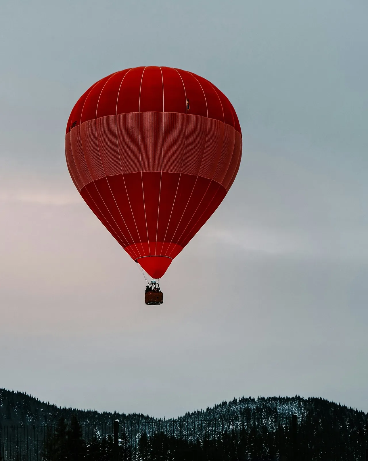 Bold red hot air balloon floating above a snow-covered pine forest under a grey winter sky