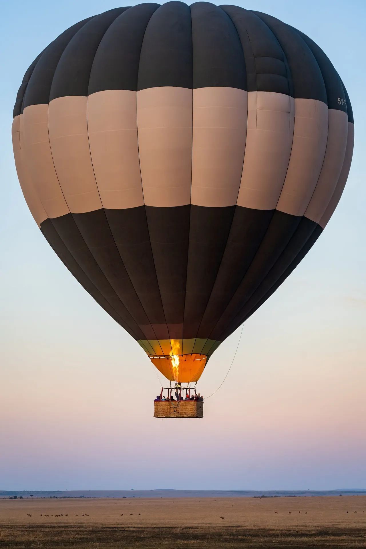 Black and white striped hot air balloon with a glowing burner floating over an African savanna at dusk