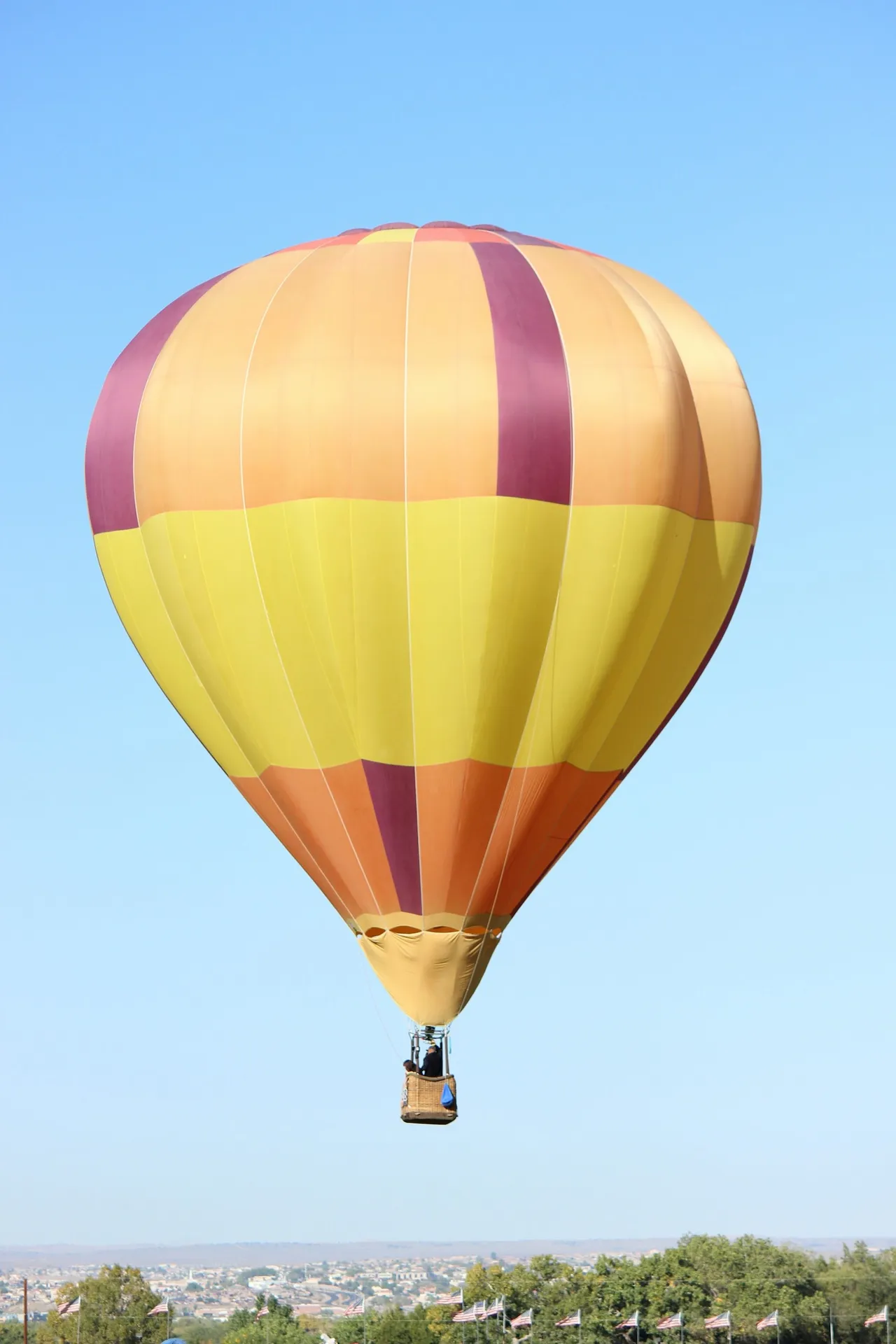 Large yellow and purple striped hot air balloon ascending above a suburban town on a clear day