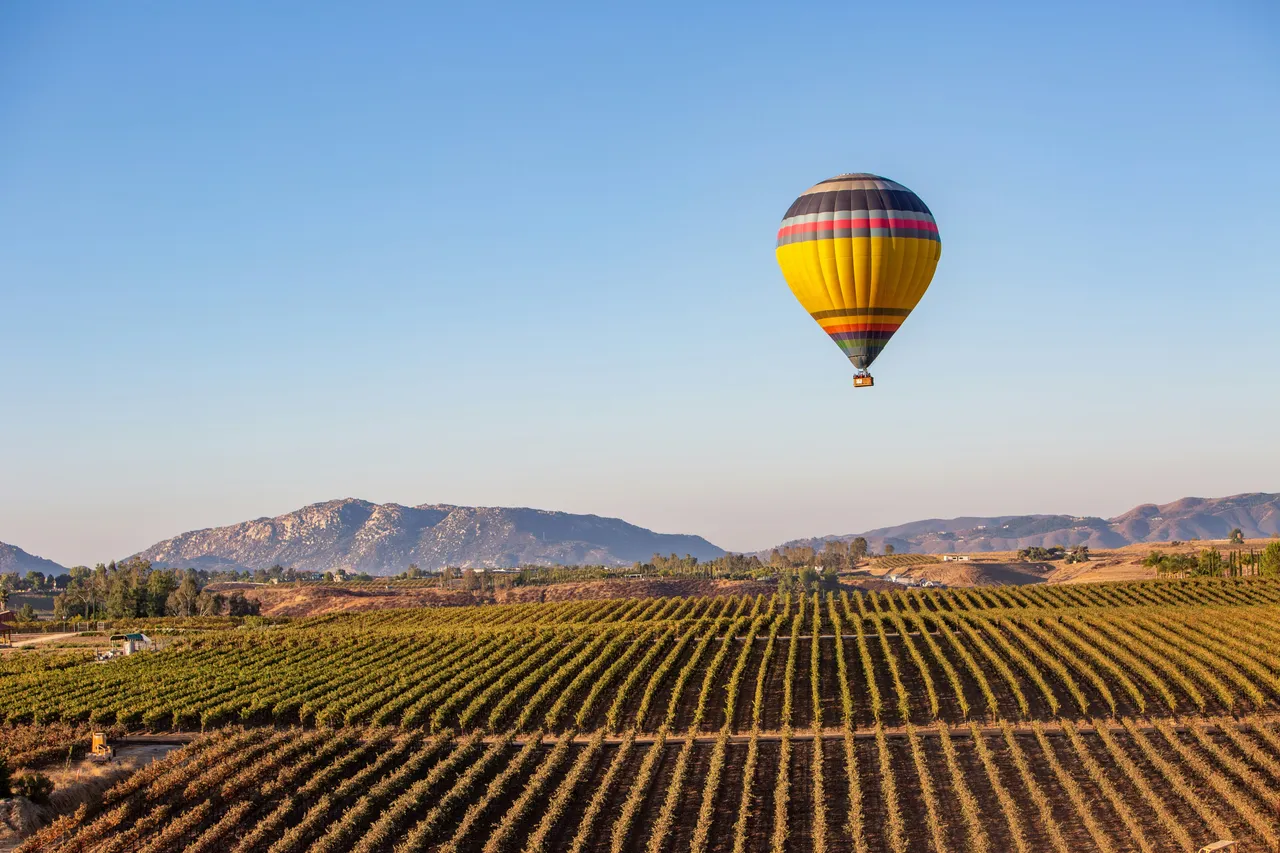 Hot air balloon over a wine region