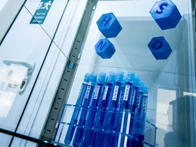 BIOHAZARD - Image 3