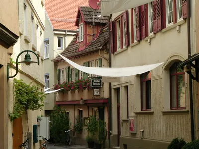 Kulinarische Weltreise - Image 3