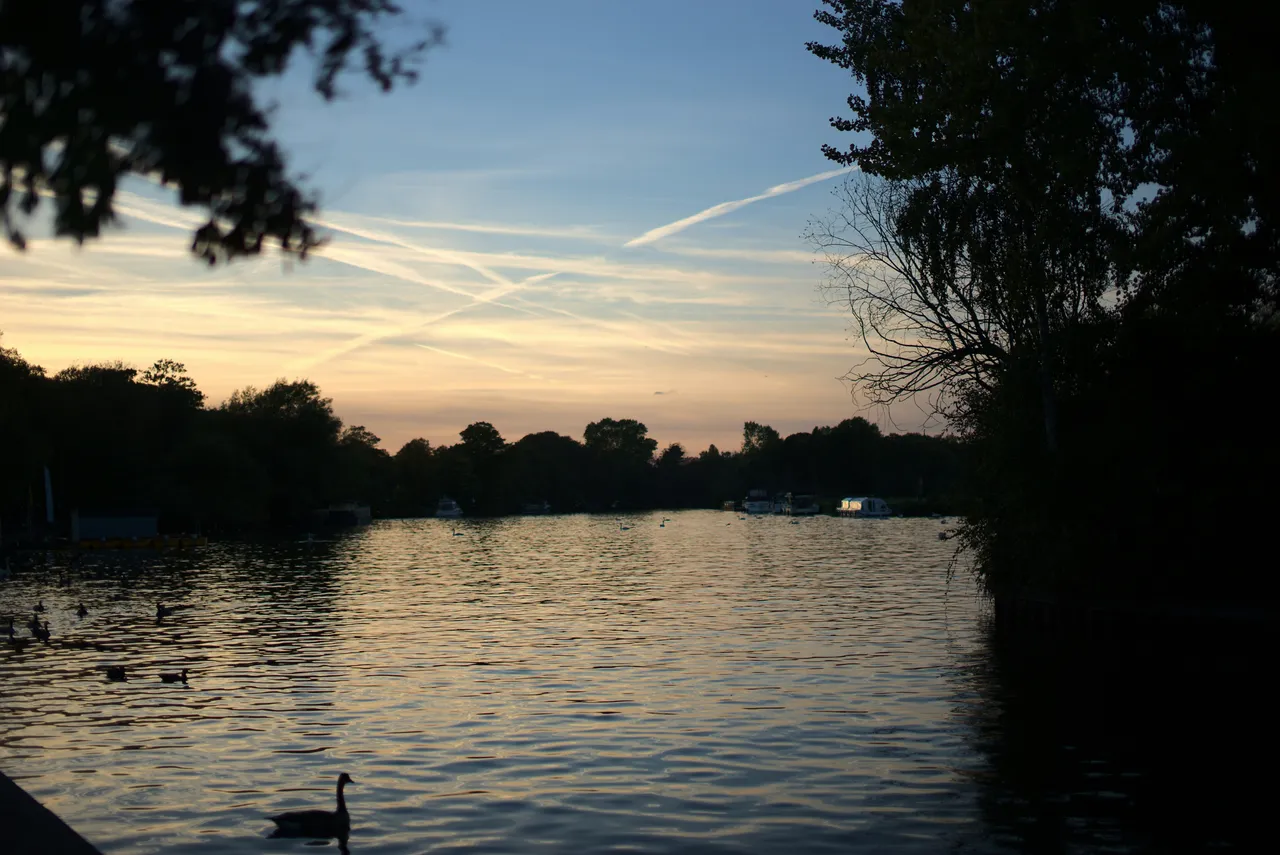 A lake at evening light