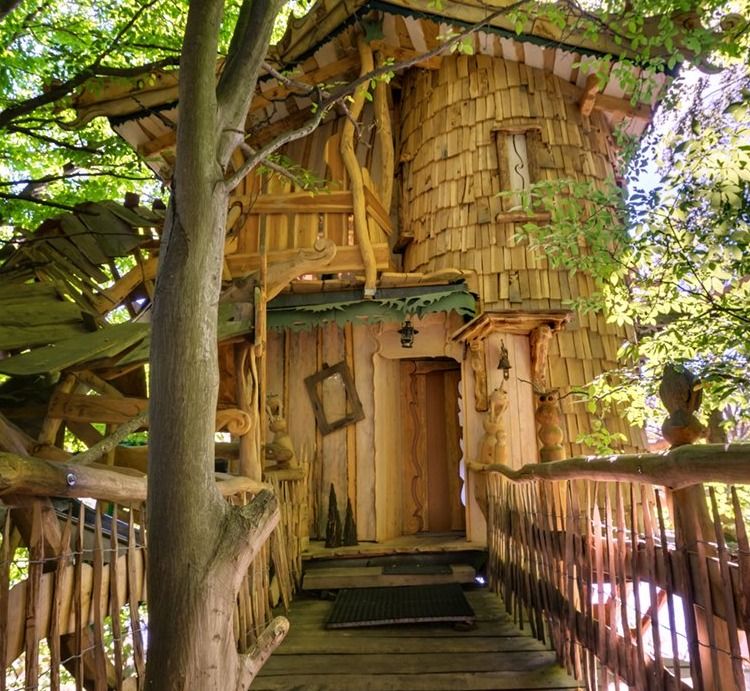 Entrance walkway to a large wooden treehouse with shingled tower nestled between old oak trees