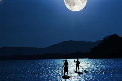 SUP Tour bei Vollmond - Gift Image