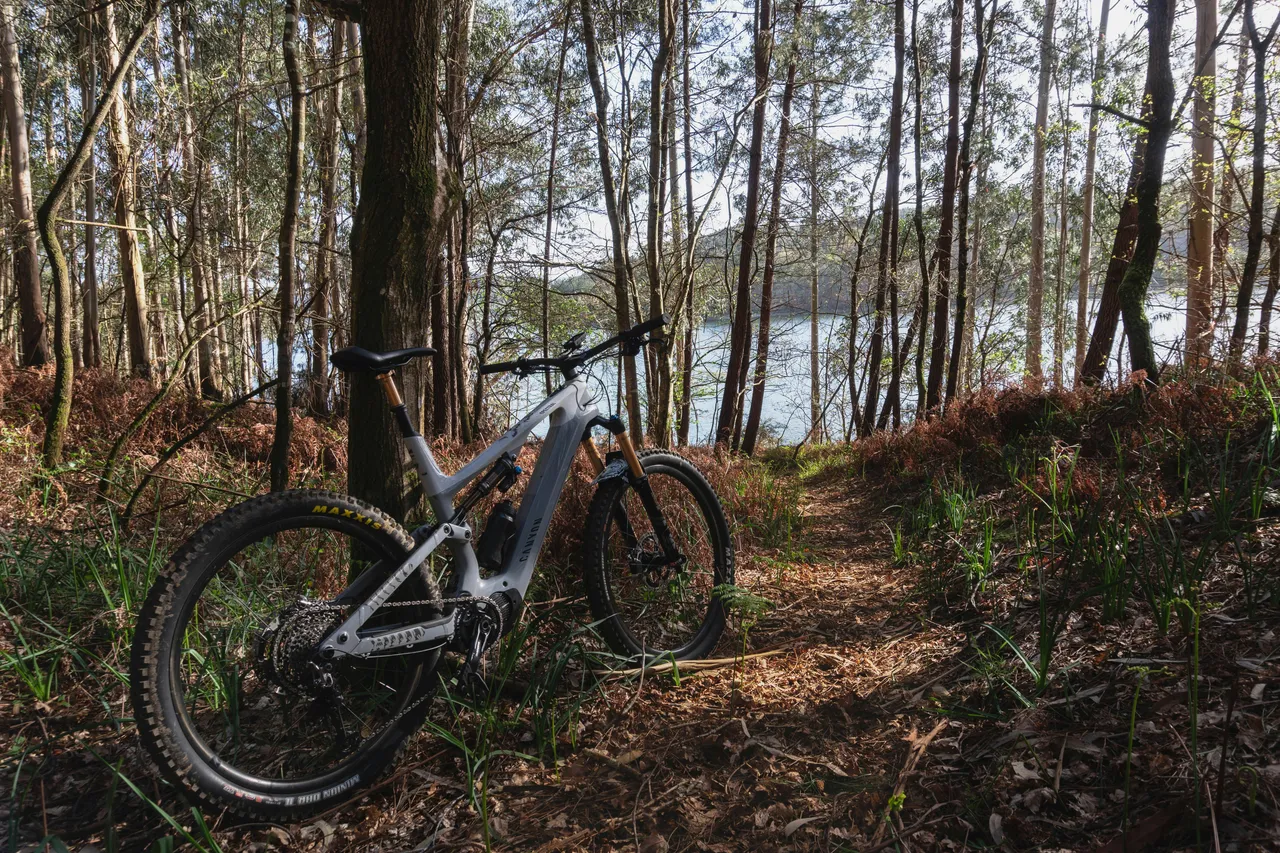 A mountain bike leaned against a tree, on a dusty turn on a wooded dirt path.