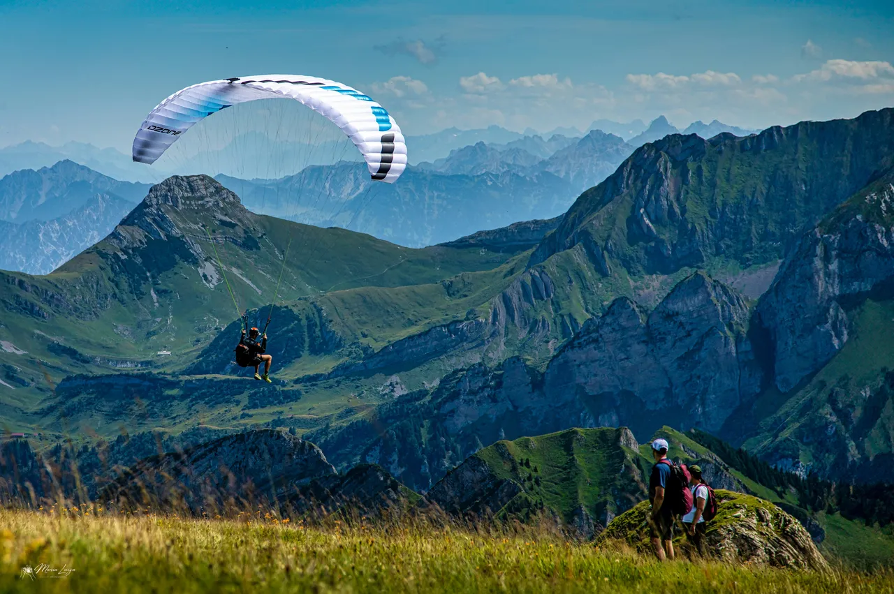 Paraglider in landscape