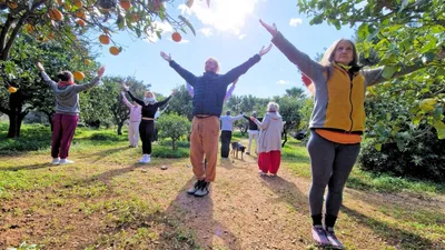 Group stretching their arms wide towards the sun during a morning exercise in an orange grove