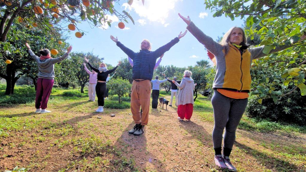 Group stretching their arms wide towards the sun during a morning exercise in an orange grove