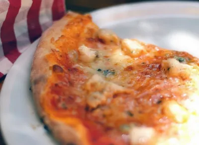 Close-up of a thin-crust grilled pizza with tomato sauce and melted cheese on a white plate