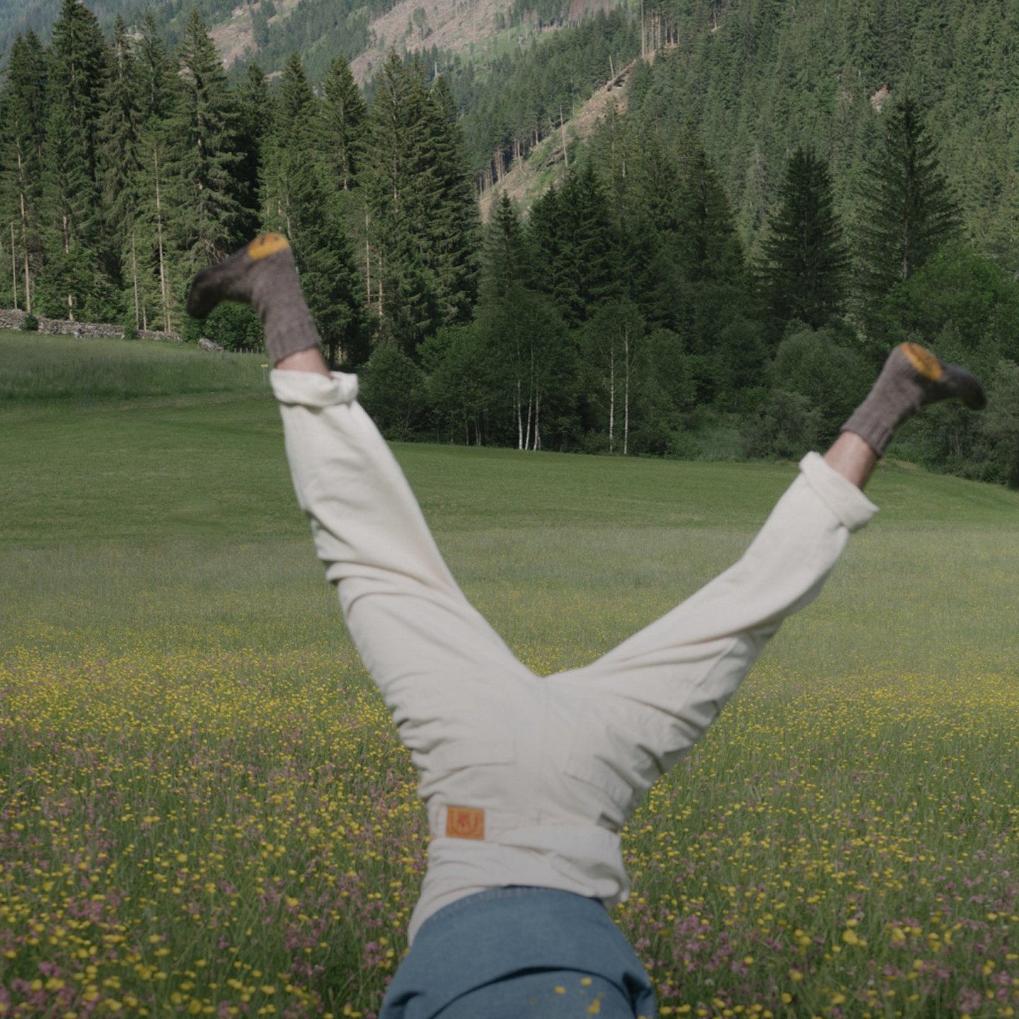 A man doing a handstand in nature