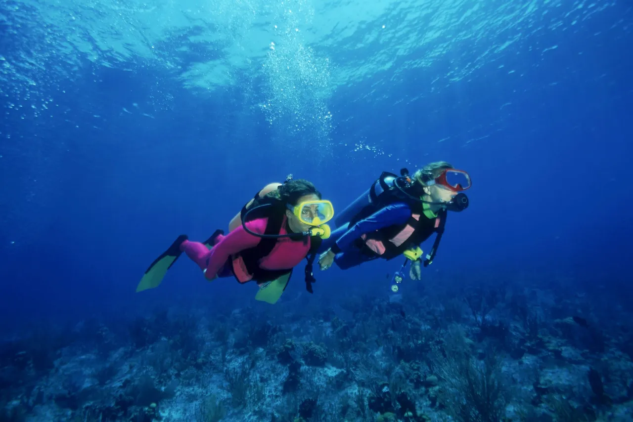 Two scuba divers underwater