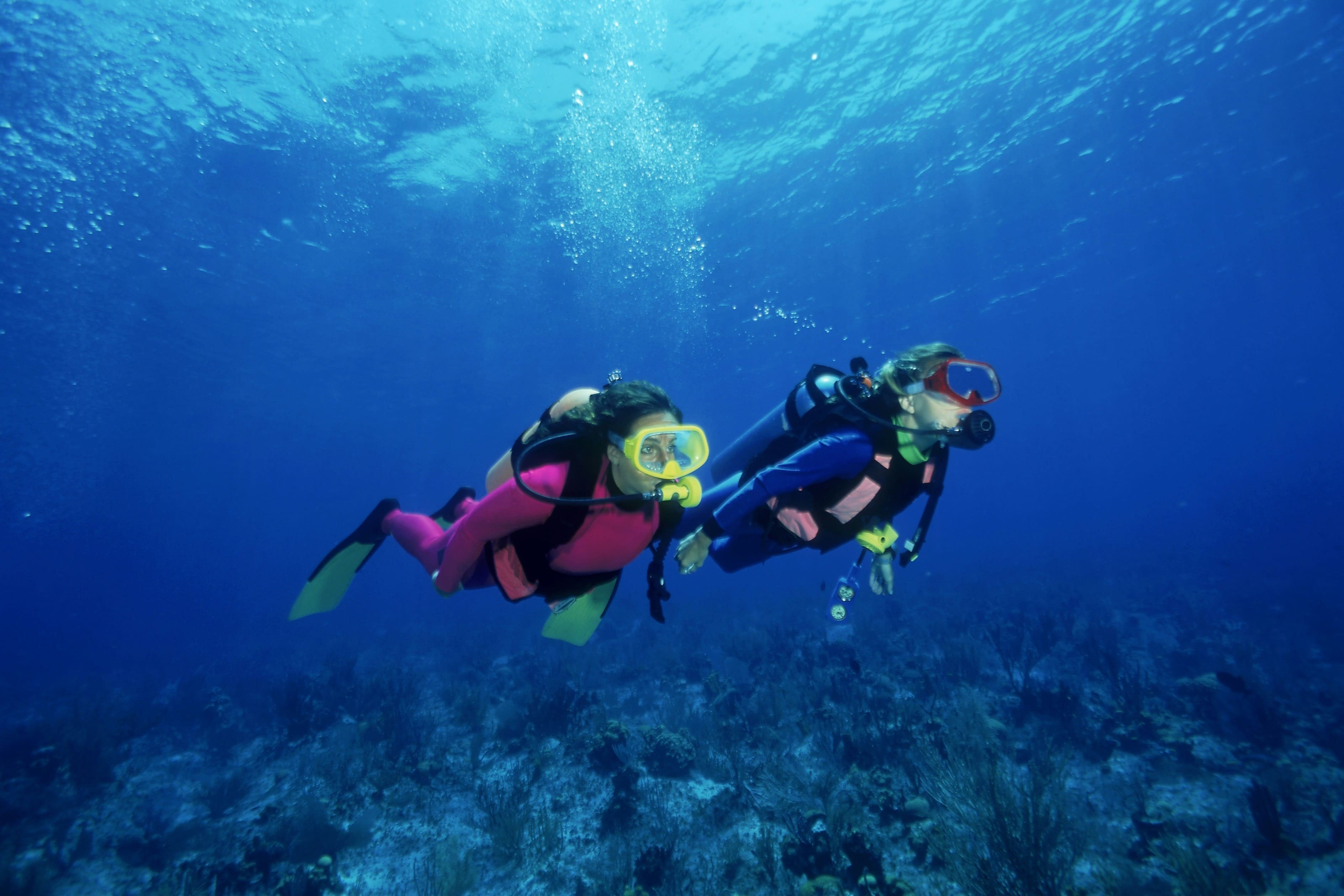 Two scuba divers underwater