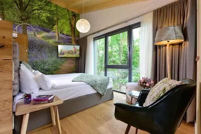 Bright tree chalet room with panoramic window, armchair and bed overlooking the forest
