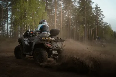 Quad biking: quad bike kicking up dust on a forest track
