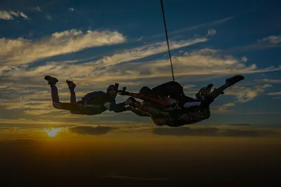 Skydiving: skydivers in freefall at sunset