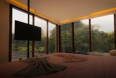 Short break: hotel room with floor-to-ceiling windows overlooking greenery