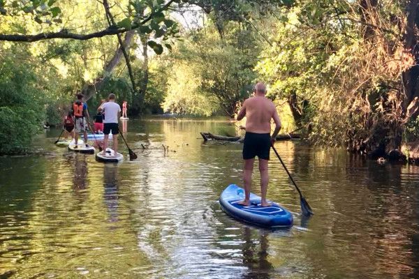 A group of elderly people on SUP boards