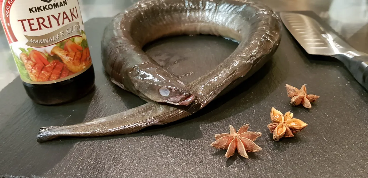 Unagi fish waiting for preparation to sushi