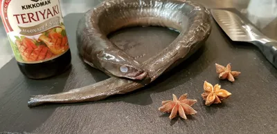 Unagi fish waiting for preparation to sushi