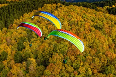 Three colourful paragliders flying over an autumn forest