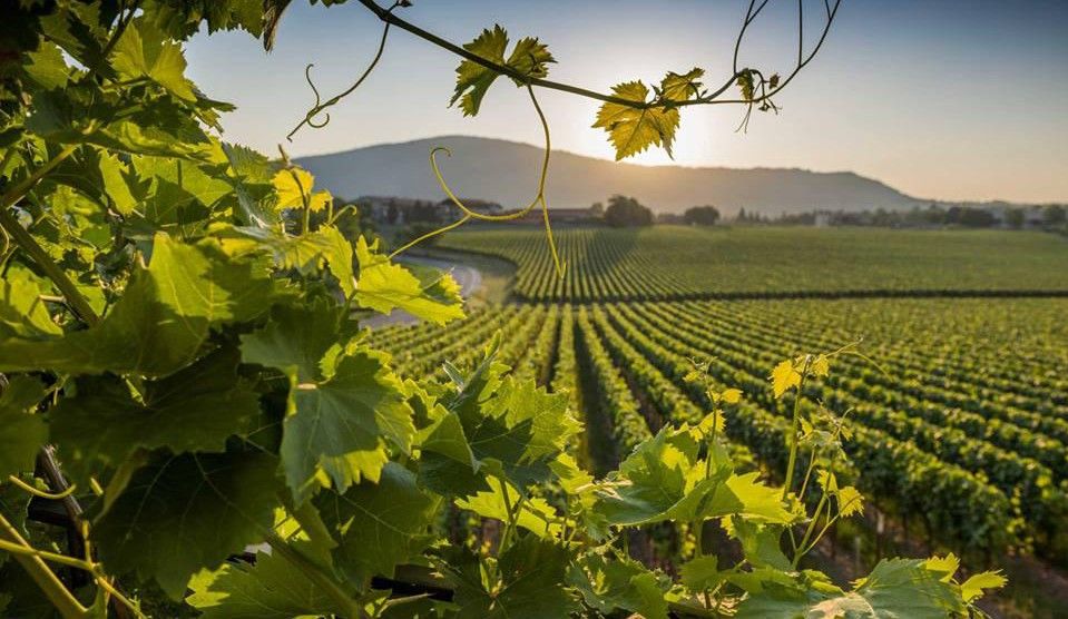 Tasting in Idstein - "Whisky aus dem Weinfass"