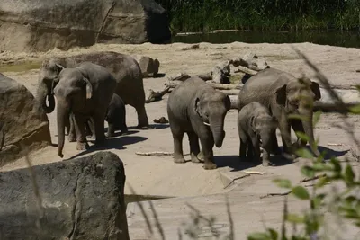 Fotokurs Köln - Kölner Zoo - Image 4
