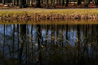 Fotokurs Dülmen - Wildpark - Image 2