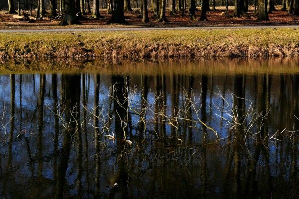 Fotokurs Dülmen - Wildpark - Image 2