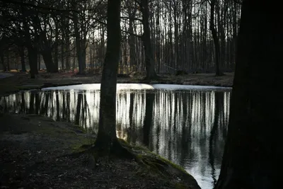 Fotokurs Dülmen - Wildpark - Image 4